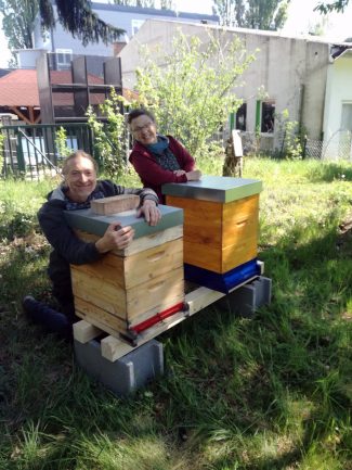 Robert Jez und Magdalena Hiessmanseder sind stolz auf die Bienenvölker im Garten der Werkstatt