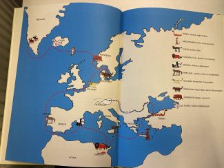 Die Tiere aus Schönbrunn machen sich auf den Weg zum Weihnachtsmann - quer durch Europa mit vielen Abenteuern
