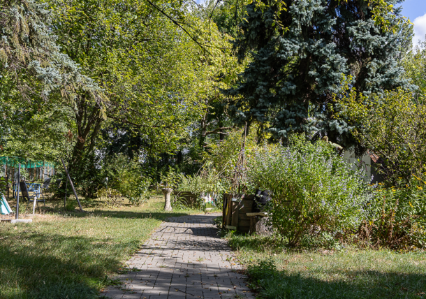 Das Foto zeigt ein Gartenstück mit vielen Bäumen, Sträuchern und einen gepflasterten Weg durch die Wiese.