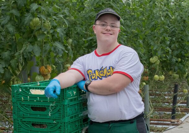 Ein junger Mann mit Down Syndrom steht in einer Großgaertnerei. Er traegt eine Kappe, ein weißes T-Shirt und eine gruene Arbeitshose. Im Hintergrund sieht man viele Tomatenstauden und er lehnt auf gruenen Klappkisten, die auf einer Ameise stehen.