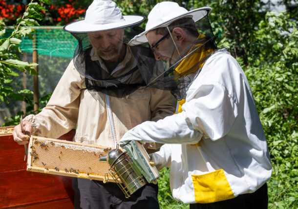 Junger Mann in der Tagesstruktur der Lebenshilfe Wien hilft beim Imkern. Der Betreuer hält die Wabe, der junge Mann hält den Rauchbläser. Beide tragen eine Imkerjacke mit Hut und arbeiten im Garten vor den Bienenstöcken.