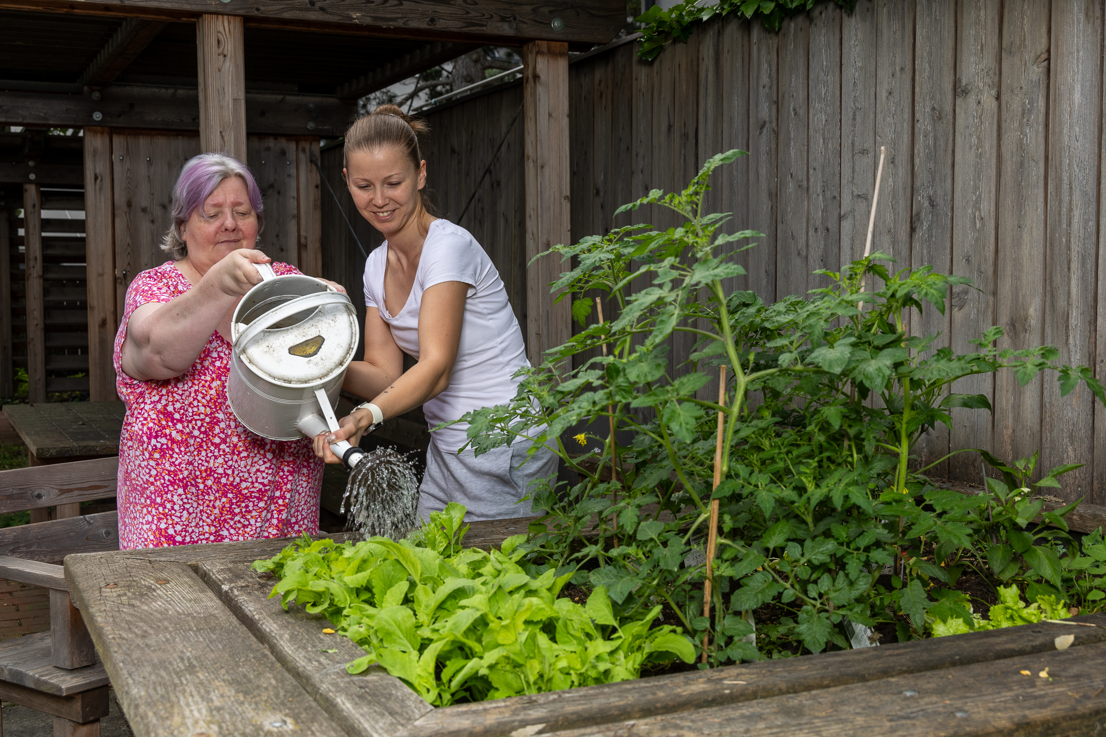 Auf dem Bild unterstützt eine Mitarbeiterin eine Kundin beim Gießen der Pflanzen mit einer Gießkanne. Die beiden stehen an einem Hochbeet, in dem Tomatenpflanzen und Salat wachsen.