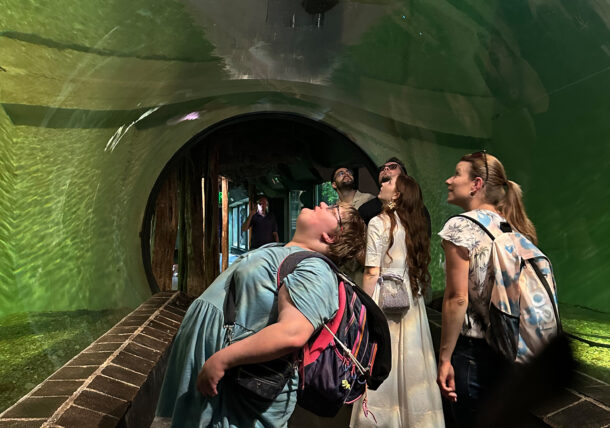 Einige Personen schauen sich in einem Tunnel in einem Aquarium einen großen Fisch an