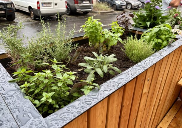 Neue Grätzloase der Lebenshilfe Wien in der Hellwagstraße